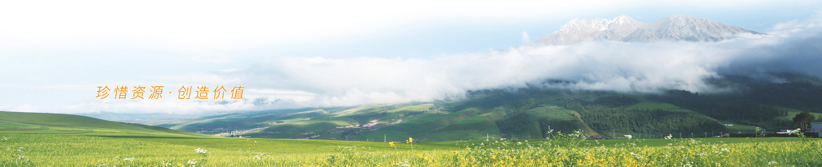 banner1